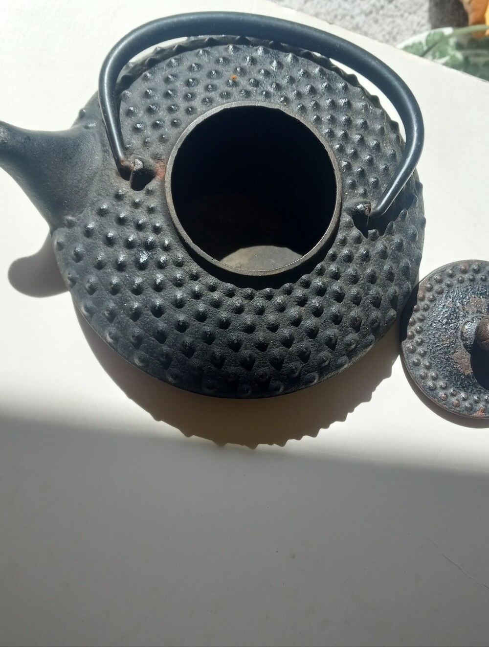 Vintage Japanese Cast Iron Tea Pot